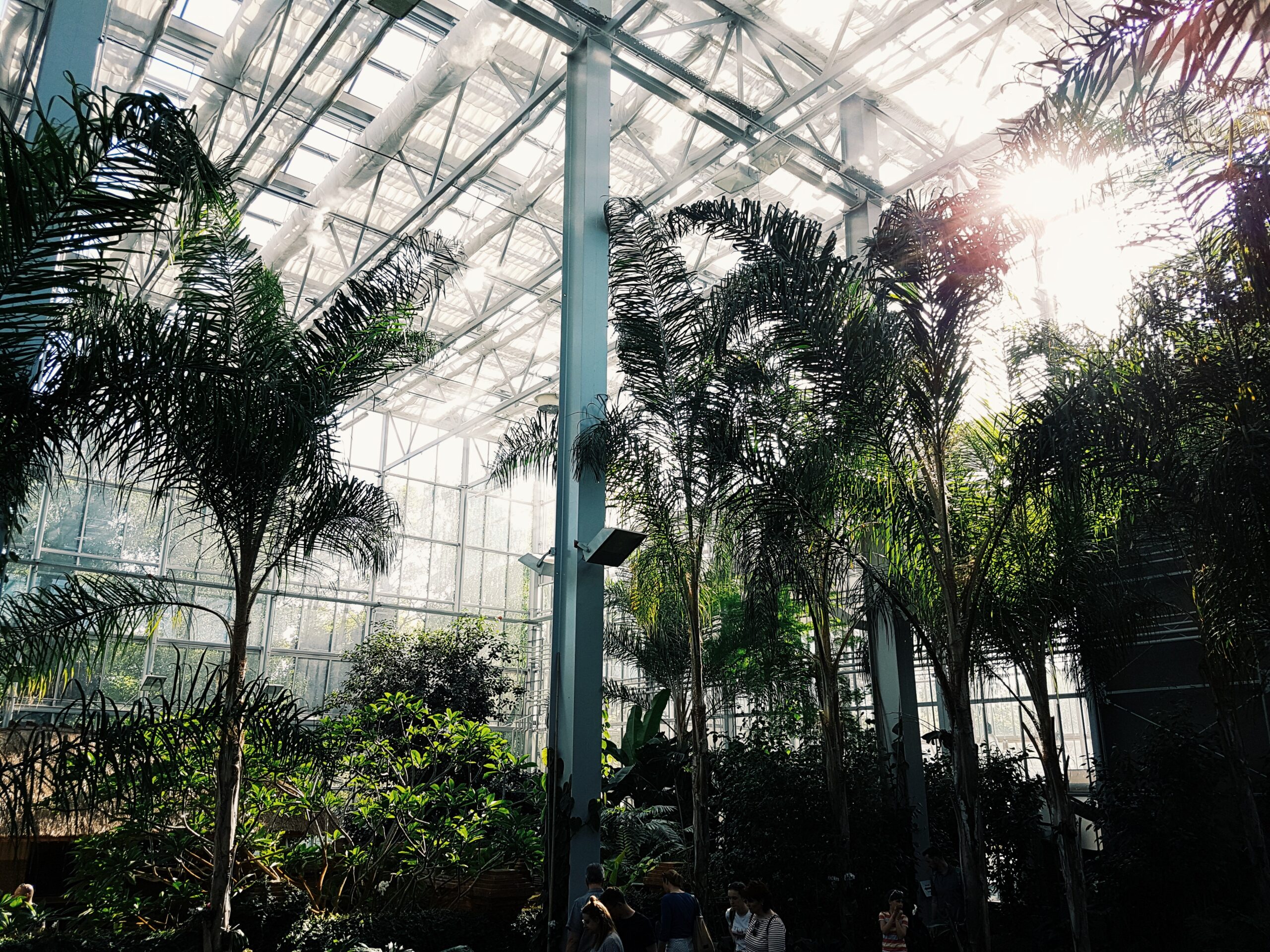 Conversations- Reza Shah Kazemi and Justin Majzub at the Botanical Gardens