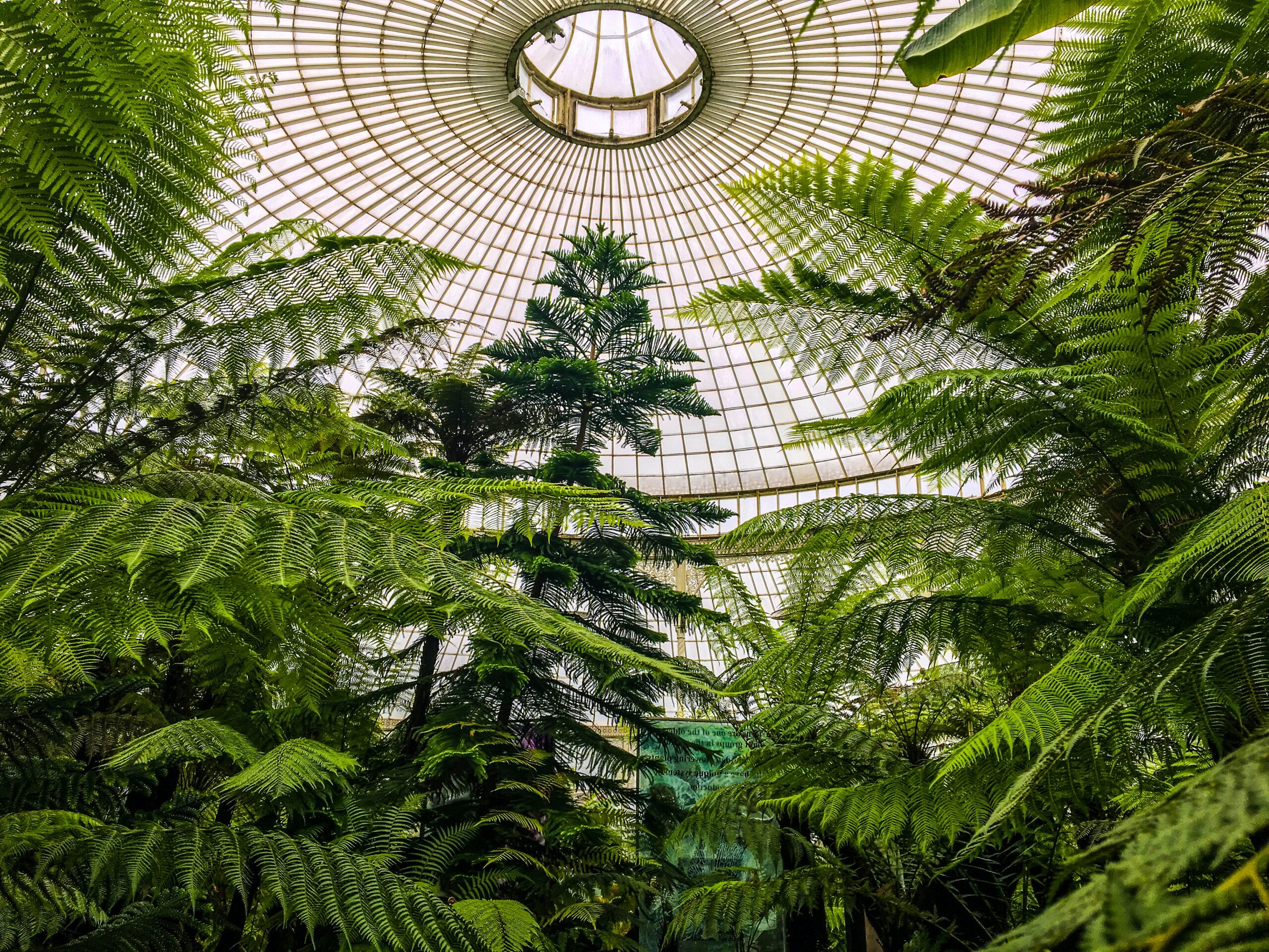 Conversation- Layla Majzub at the Botanical Garden